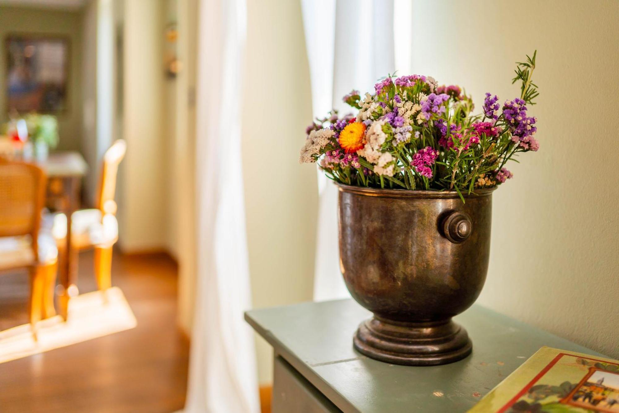 Apartment Mediterraneo Ρόβινι Εξωτερικό φωτογραφία